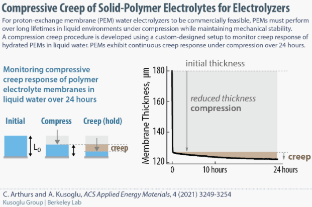 PEMs for water electrolyzers